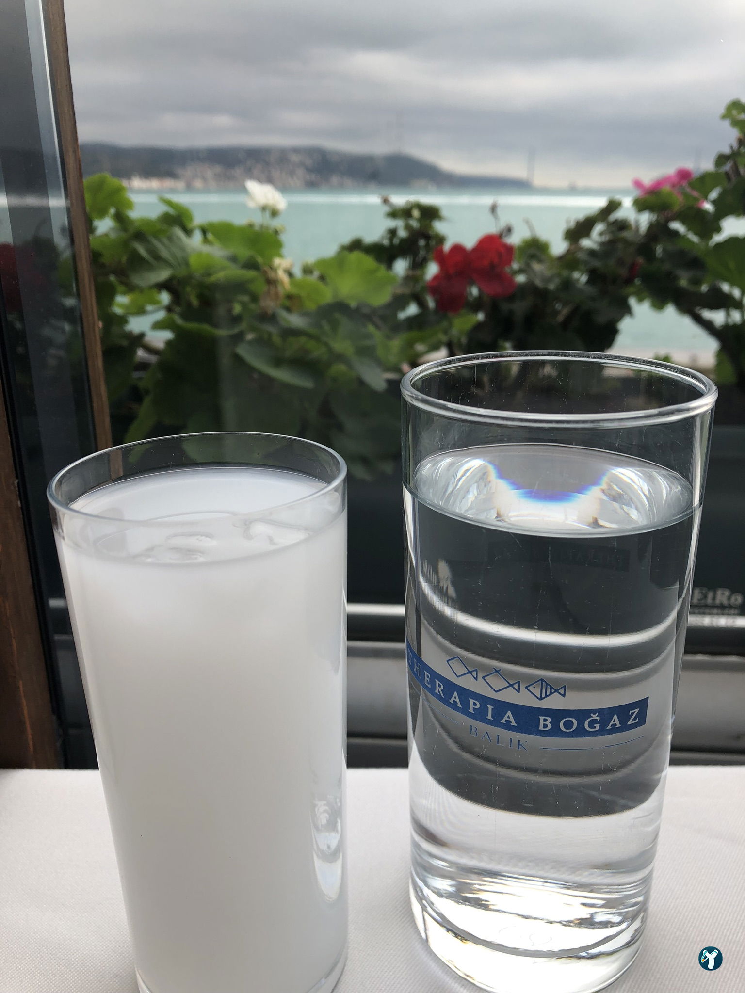 Therapia Boğaz Balık