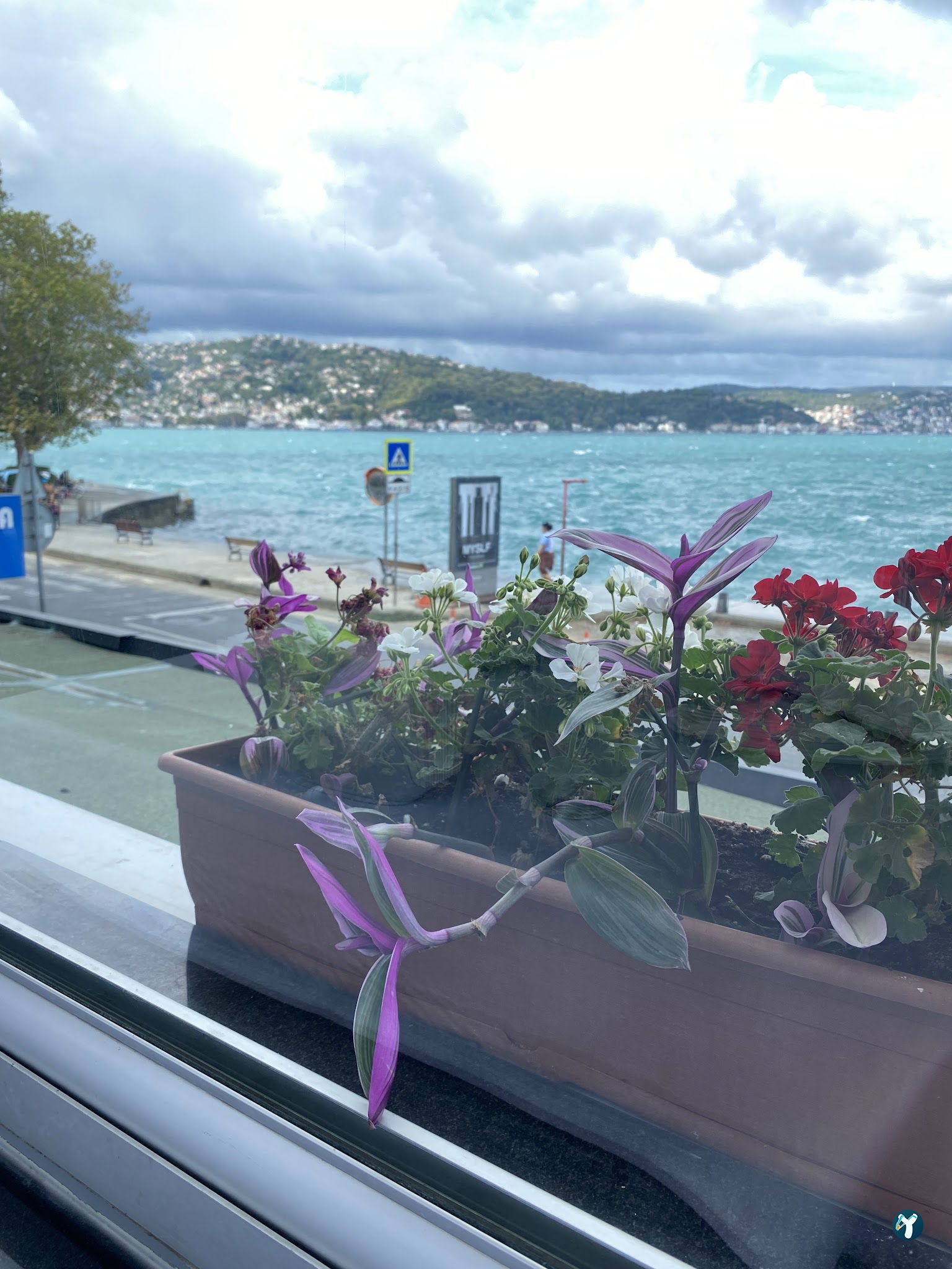 Therapia Boğaz Balık