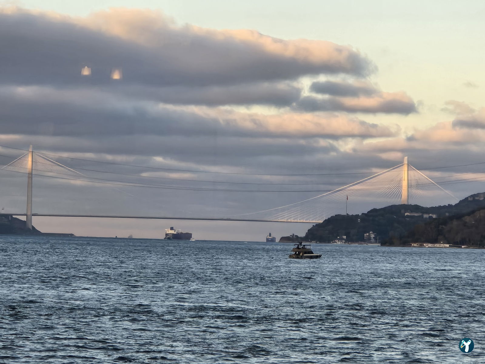 Therapia Boğaz Balık
