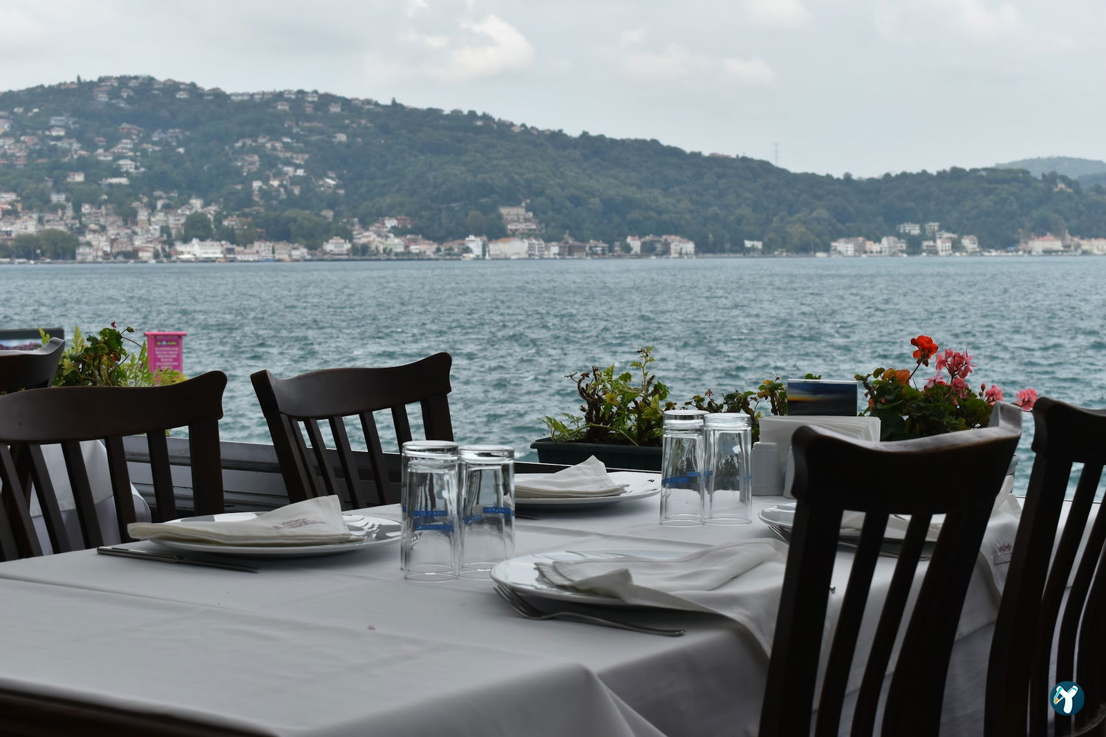 Therapia Boğaz Balık