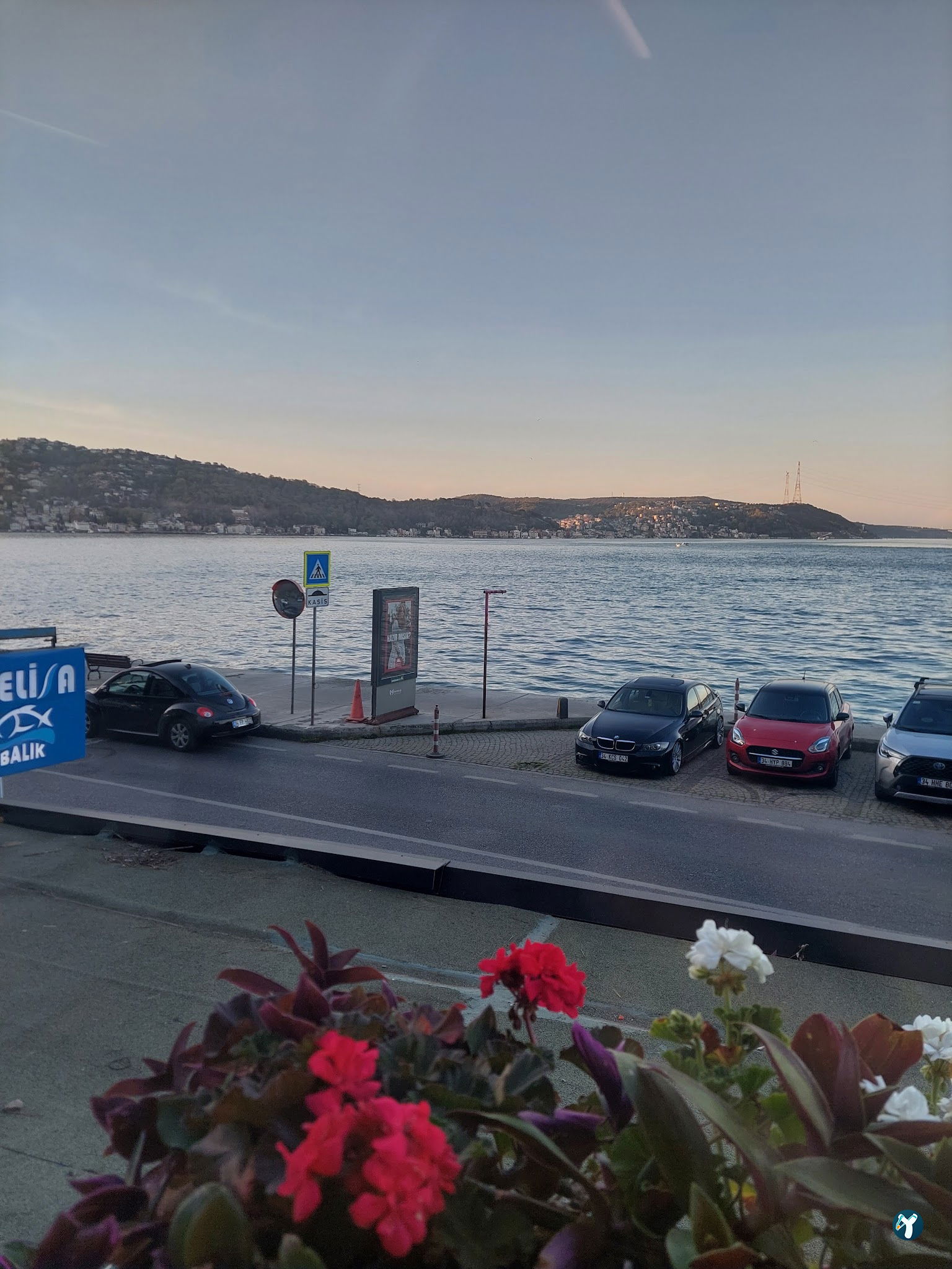 Therapia Boğaz Balık