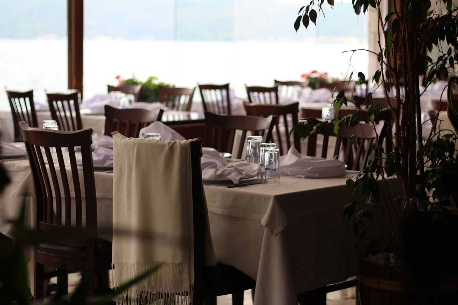 Therapia Boğaz Balık