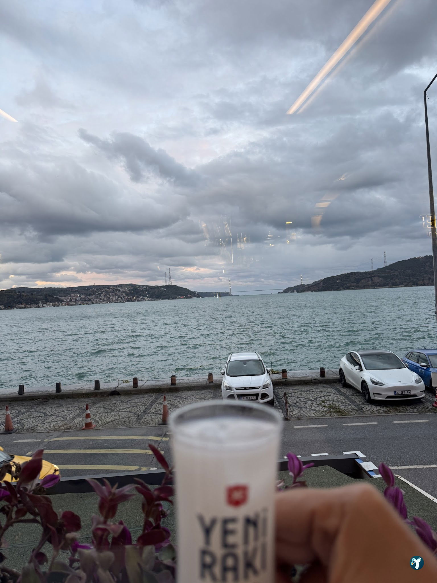 Therapia Boğaz Balık