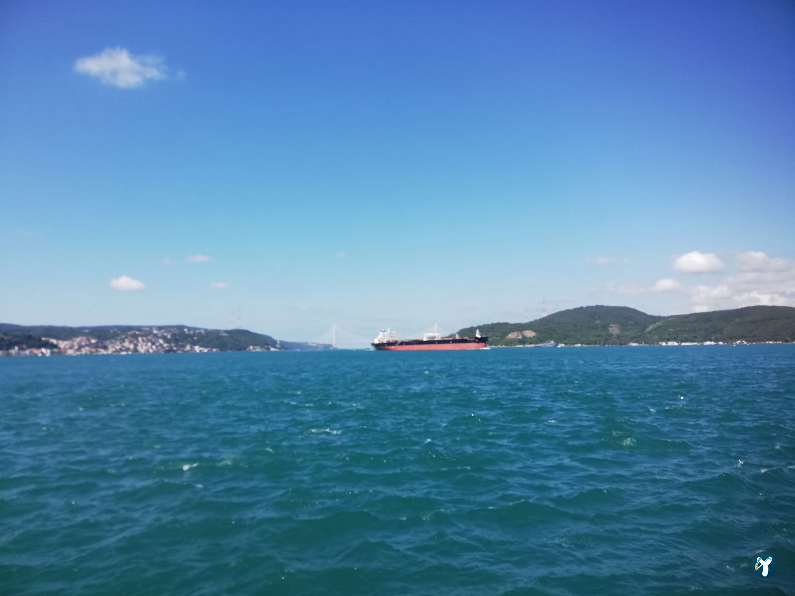 Therapia Boğaz Balık
