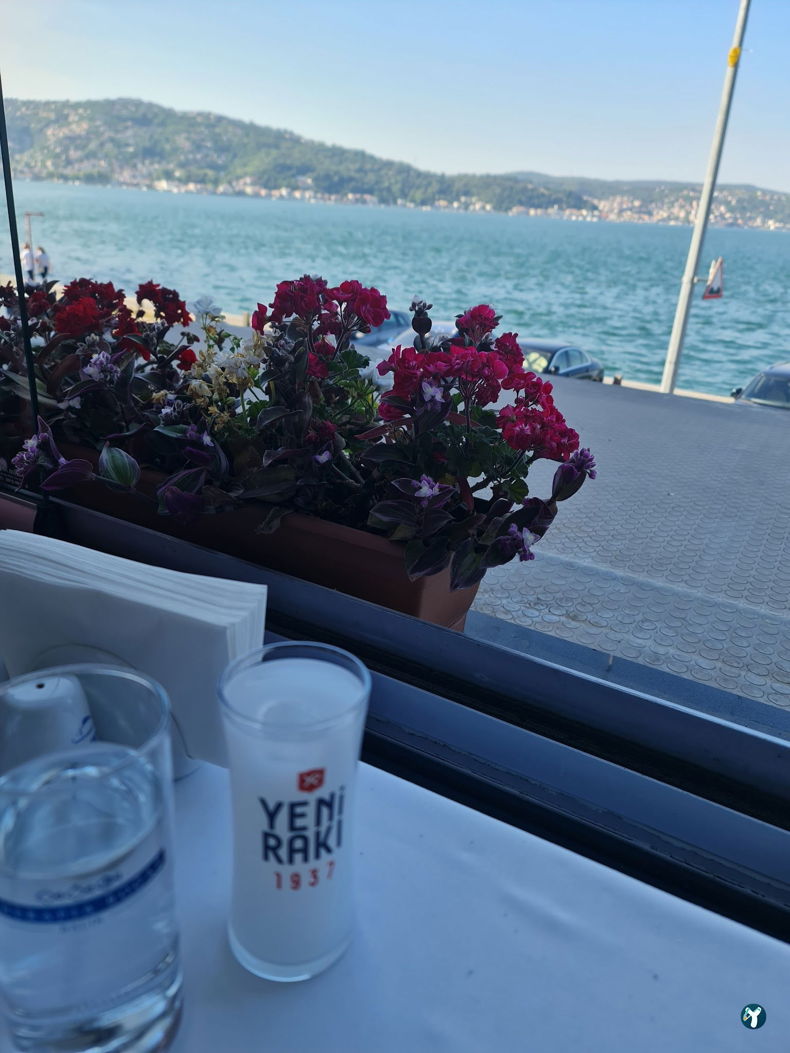 Therapia Boğaz Balık