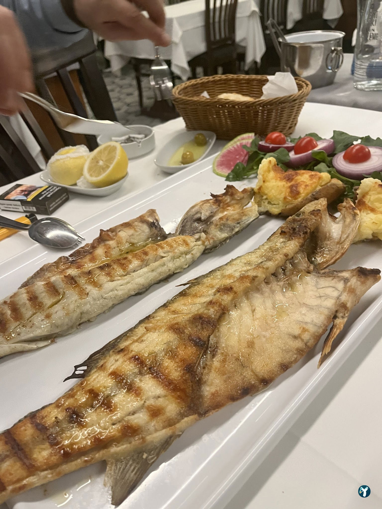 Therapia Boğaz Balık