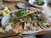 Sektörün Öncüsü Konyalı