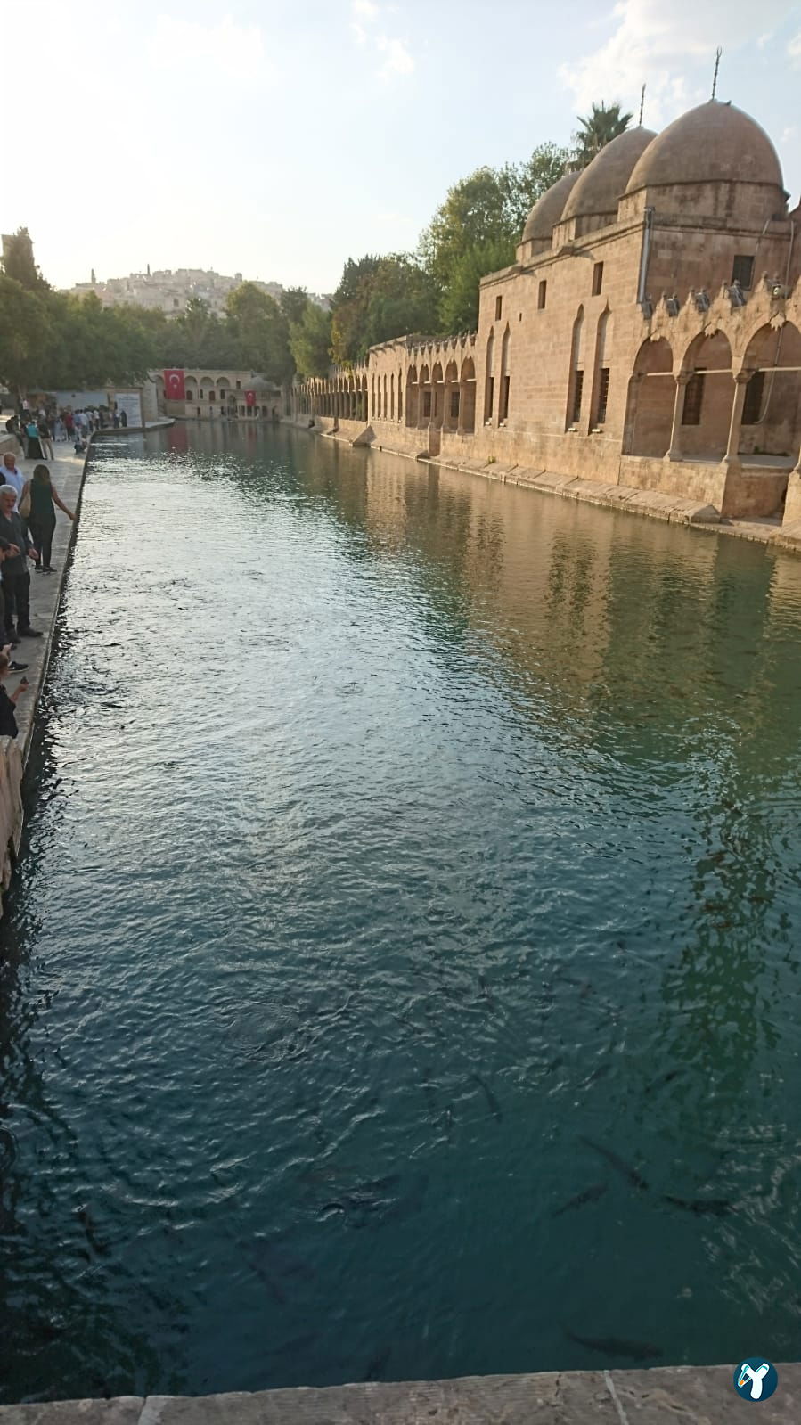 Urfa Balıklıgöl Lokantası
