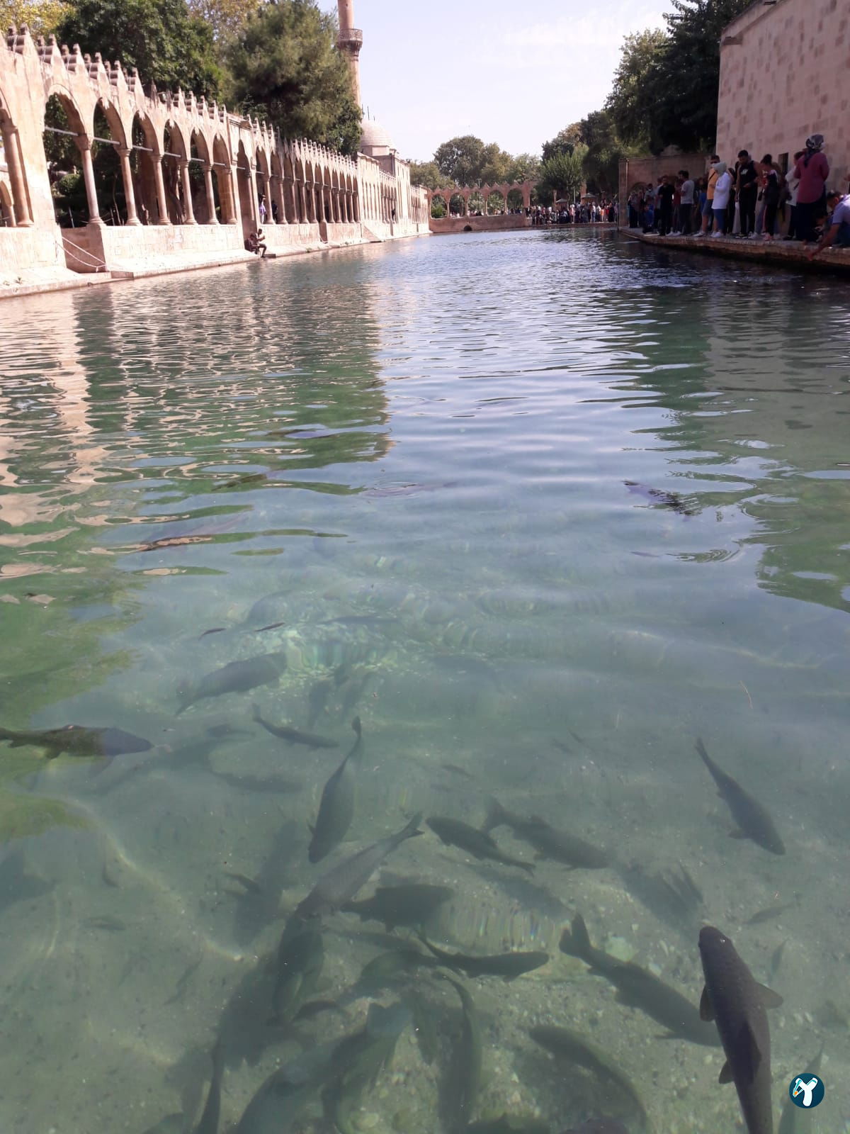Urfa Balıklıgöl Lokantası