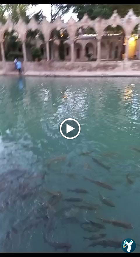 Urfa Balıklıgöl Lokantası