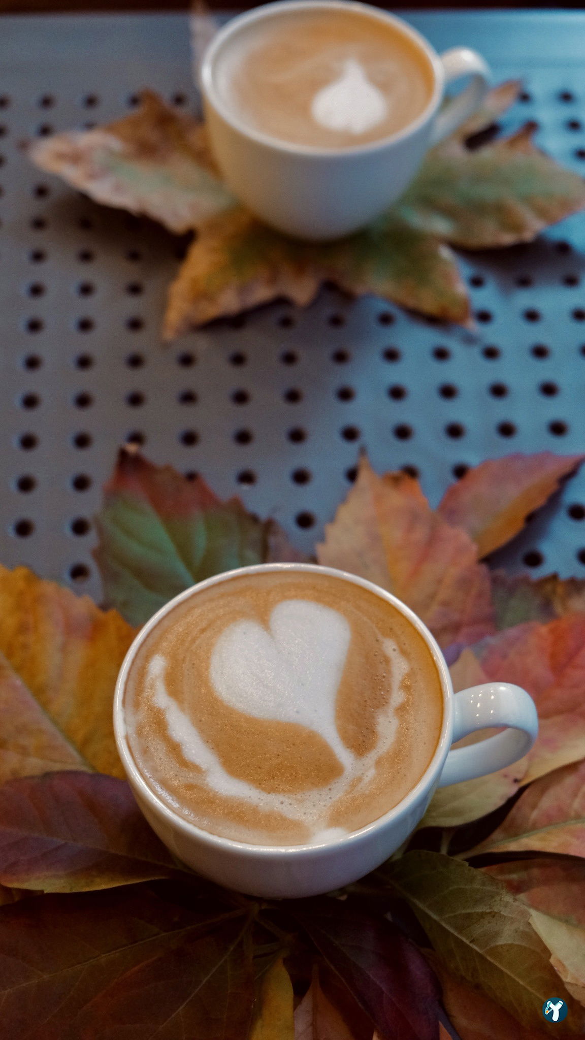 Bilge Barista Book&Coffee