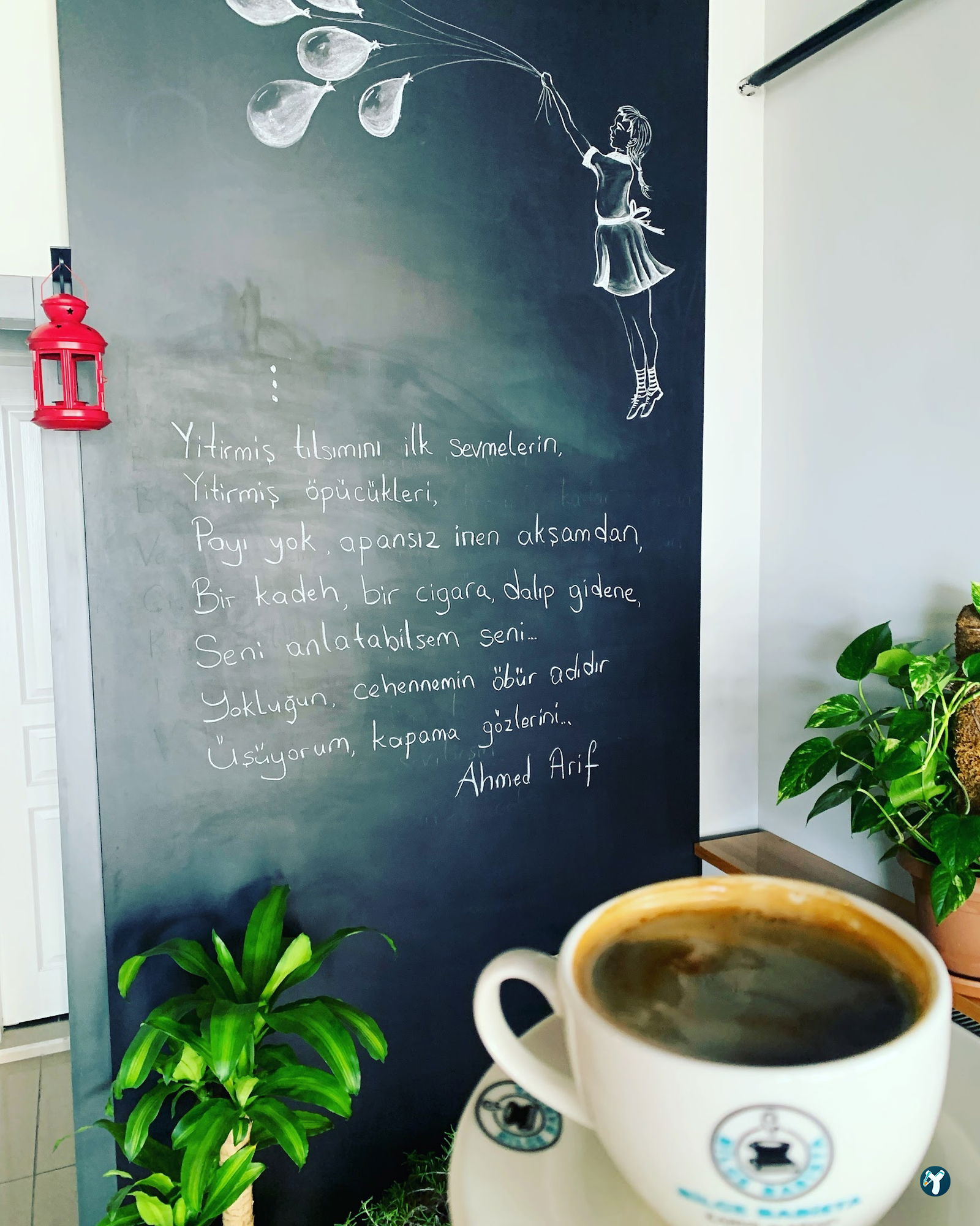 Bilge Barista Book&Coffee