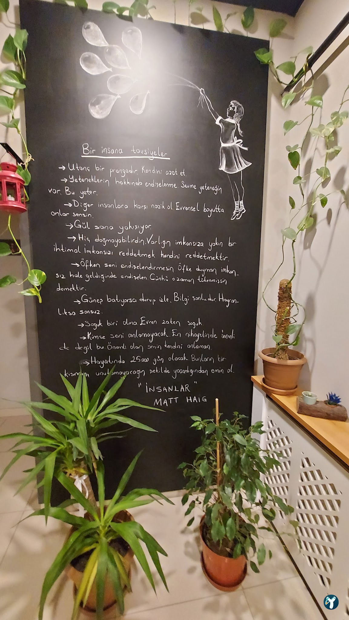 Bilge Barista Book&Coffee