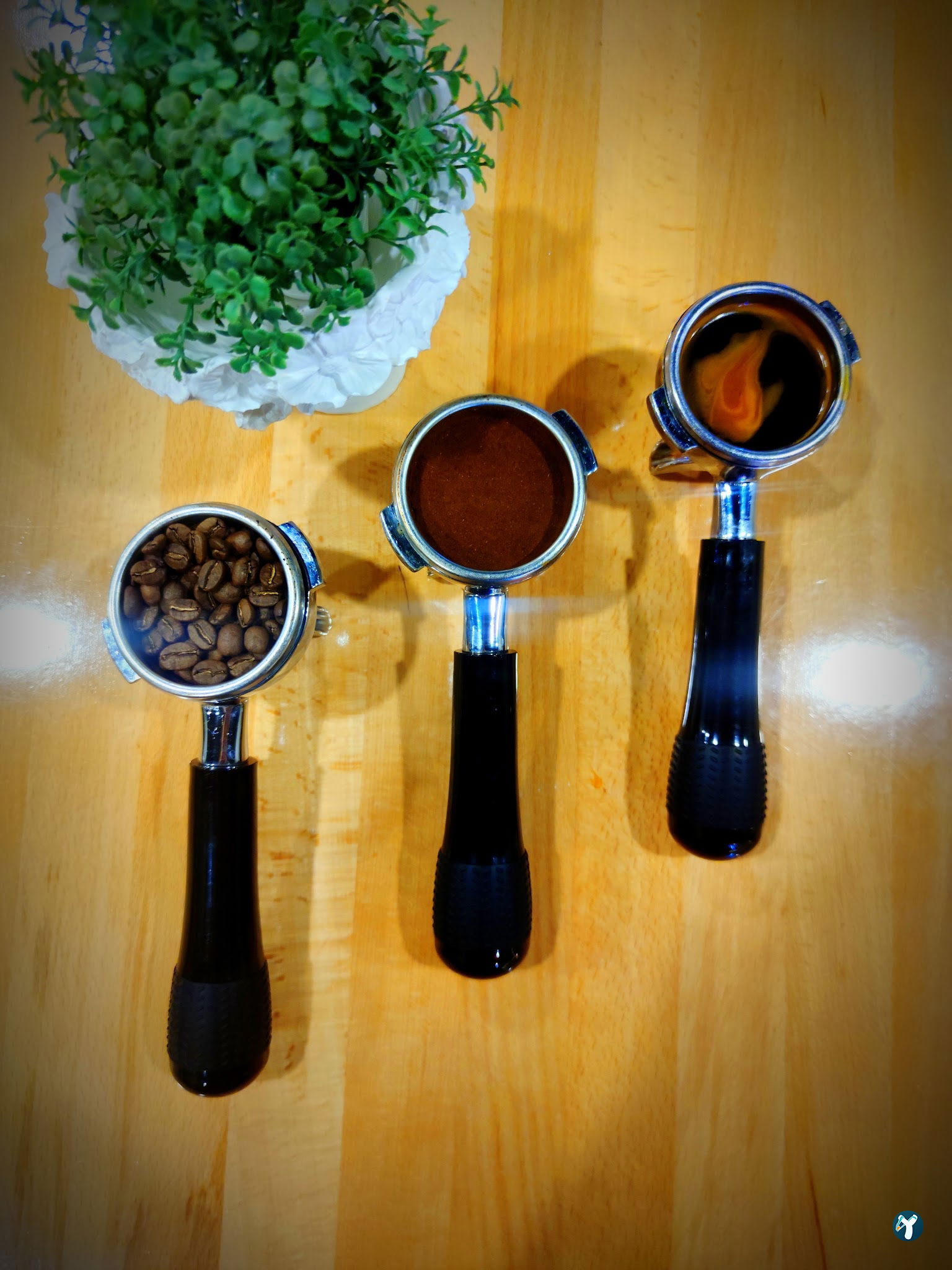 Bilge Barista Book&Coffee