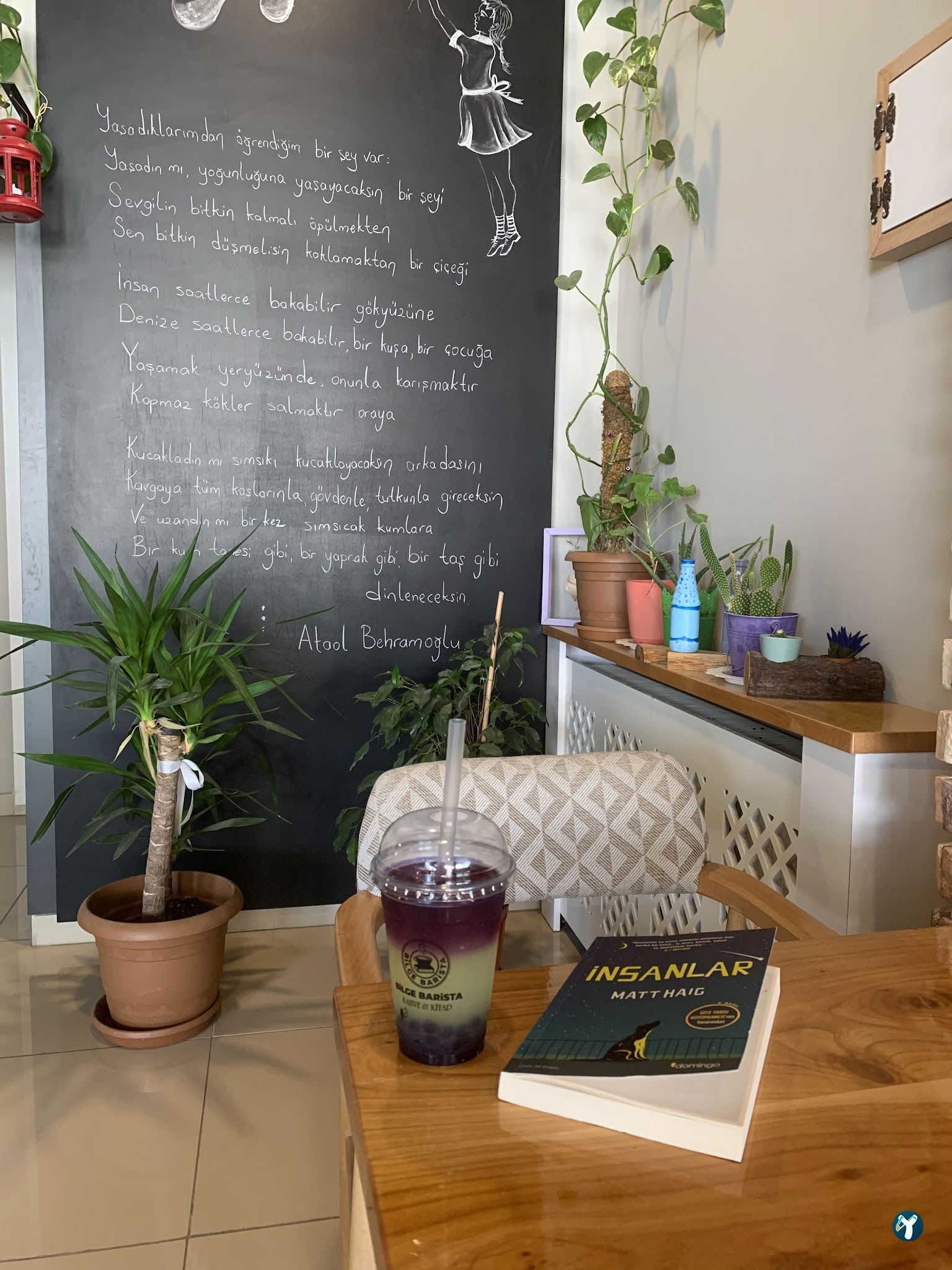 Bilge Barista Book&Coffee