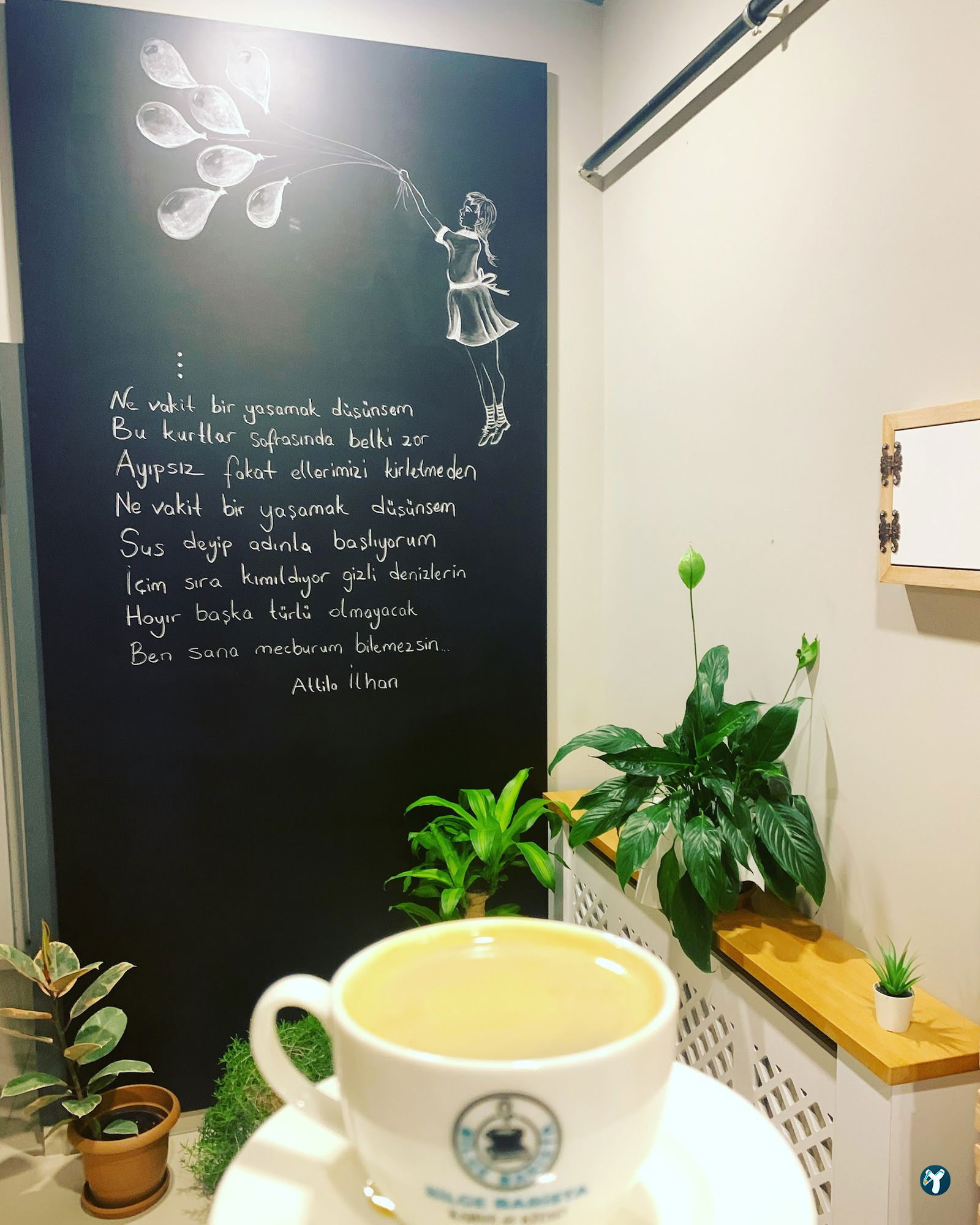 Bilge Barista Book&Coffee