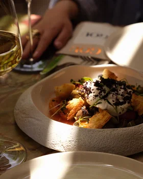 GOU Society resimleri