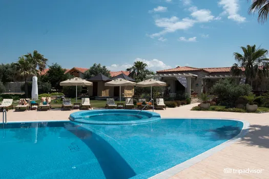 Sheba Restaurant resimleri