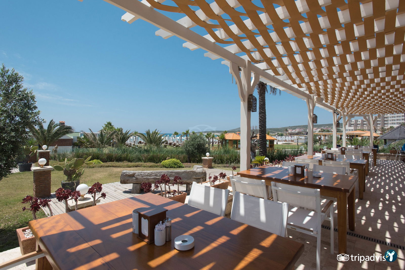 Sheba Restaurant