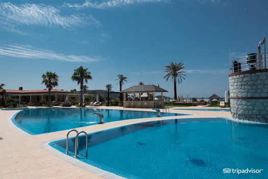 Sheba Restaurant resimleri
