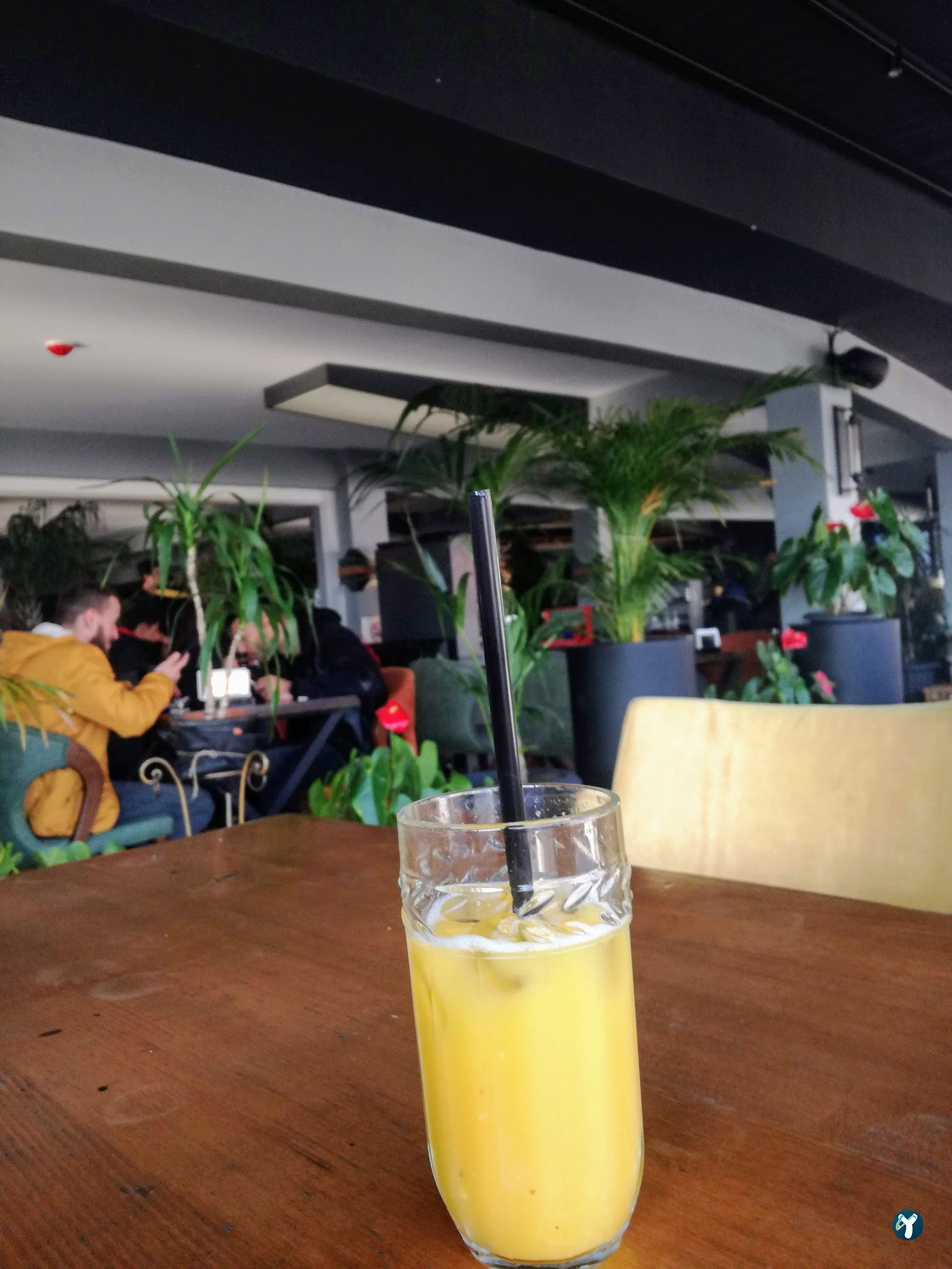 Gebze Paradise Cafe