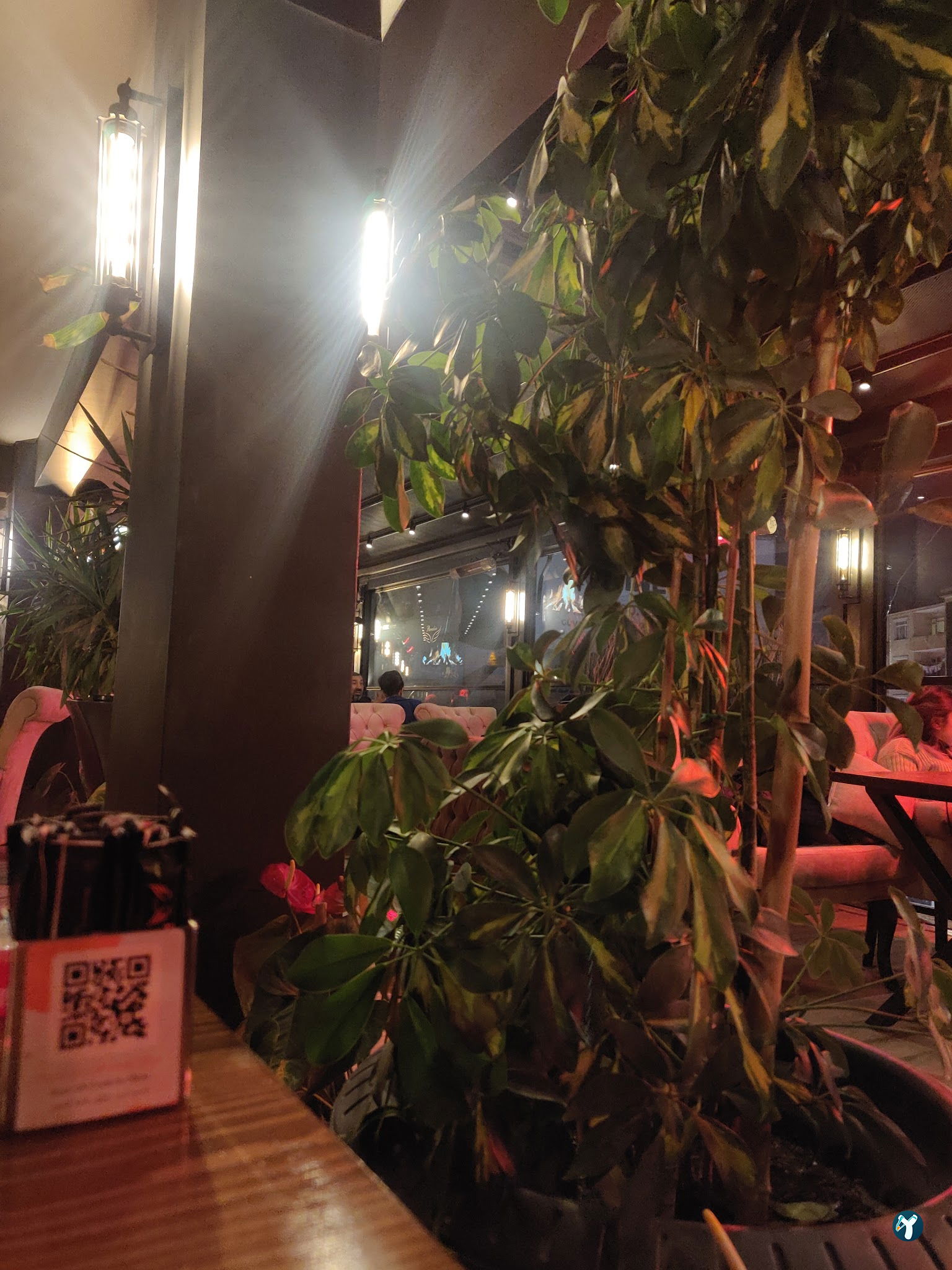 Gebze Paradise Cafe