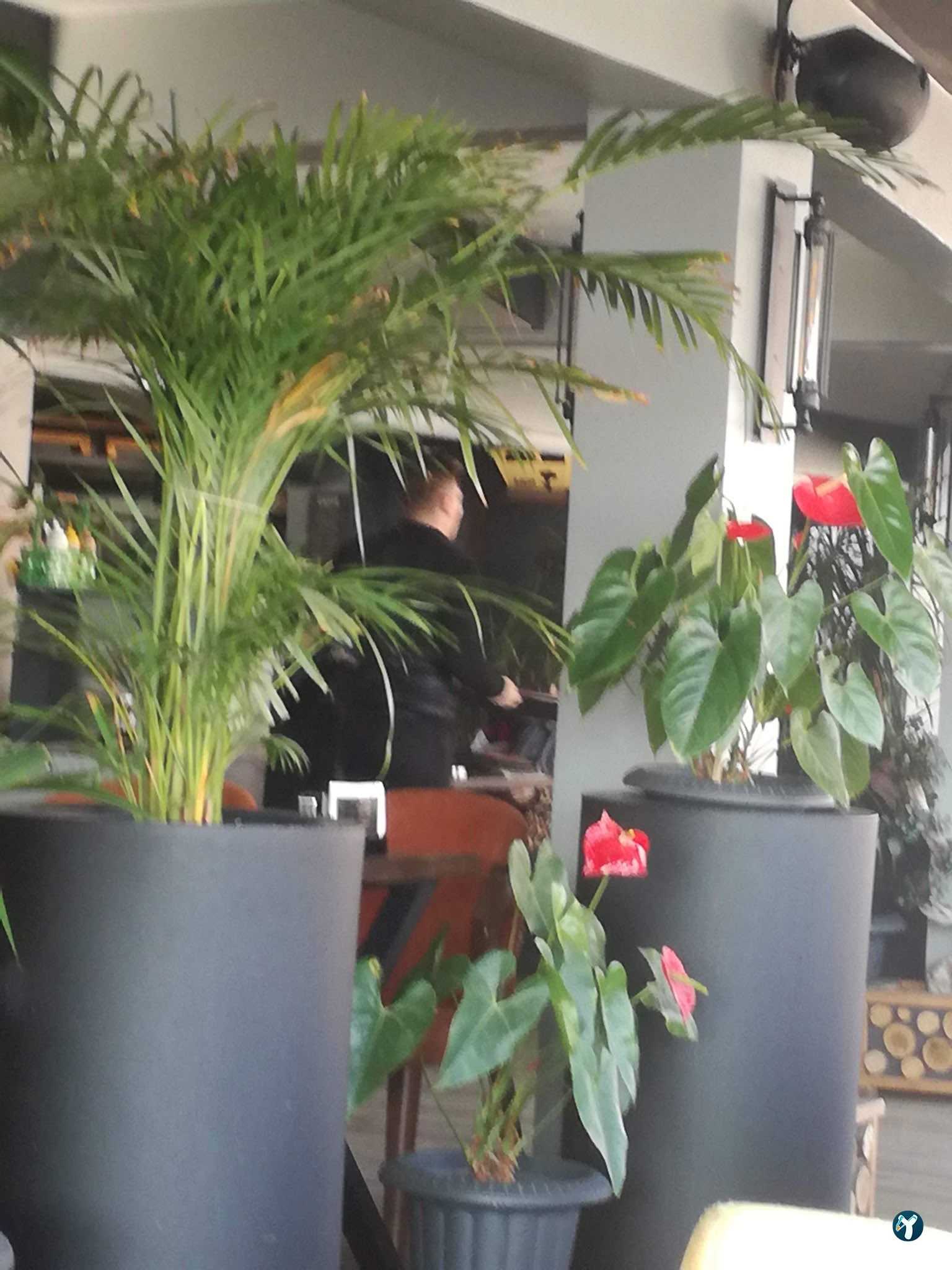 Gebze Paradise Cafe