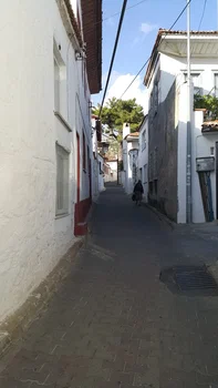 Deniz Yıldızı Balık Ekmek resimleri