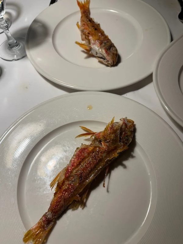 Yüksel Balık Yeşilköy