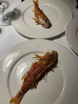 Yüksel Balık Yeşilköy resimleri