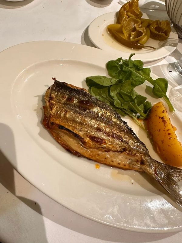 Yüksel Balık Yeşilköy