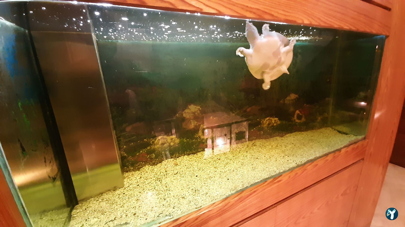 Atabeyoğlu Lezzet Çiftliği