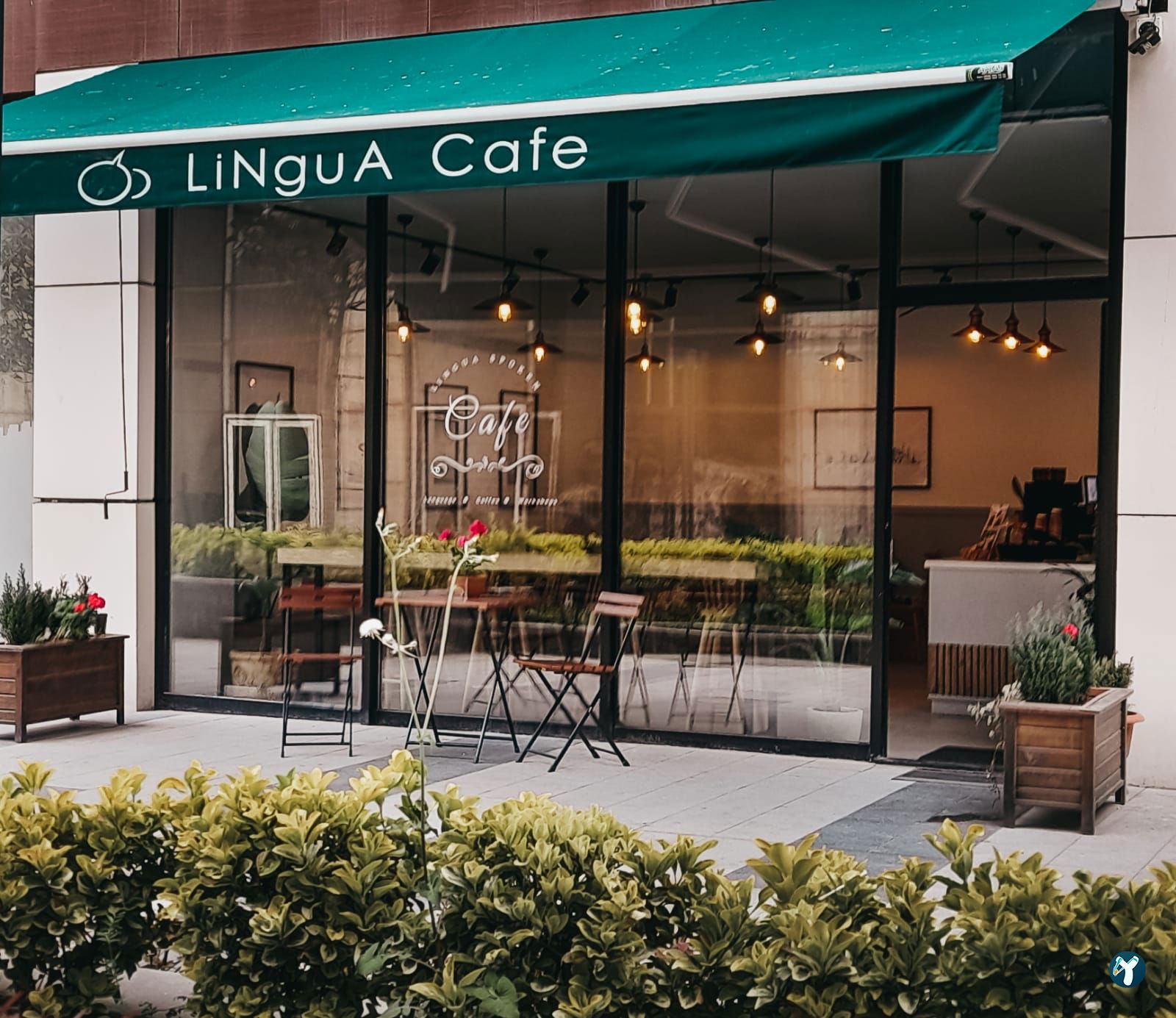 Lingua Cafe