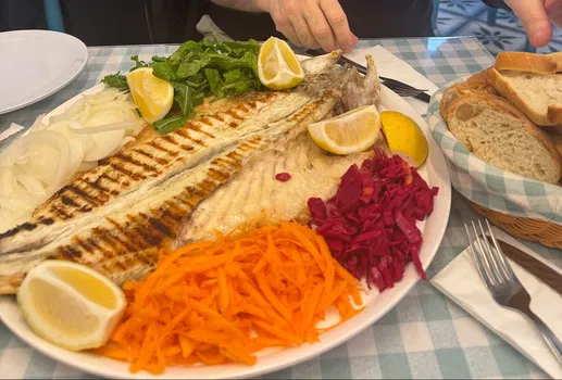 Okyanus Balık resimleri Okyanus Balık resimleri