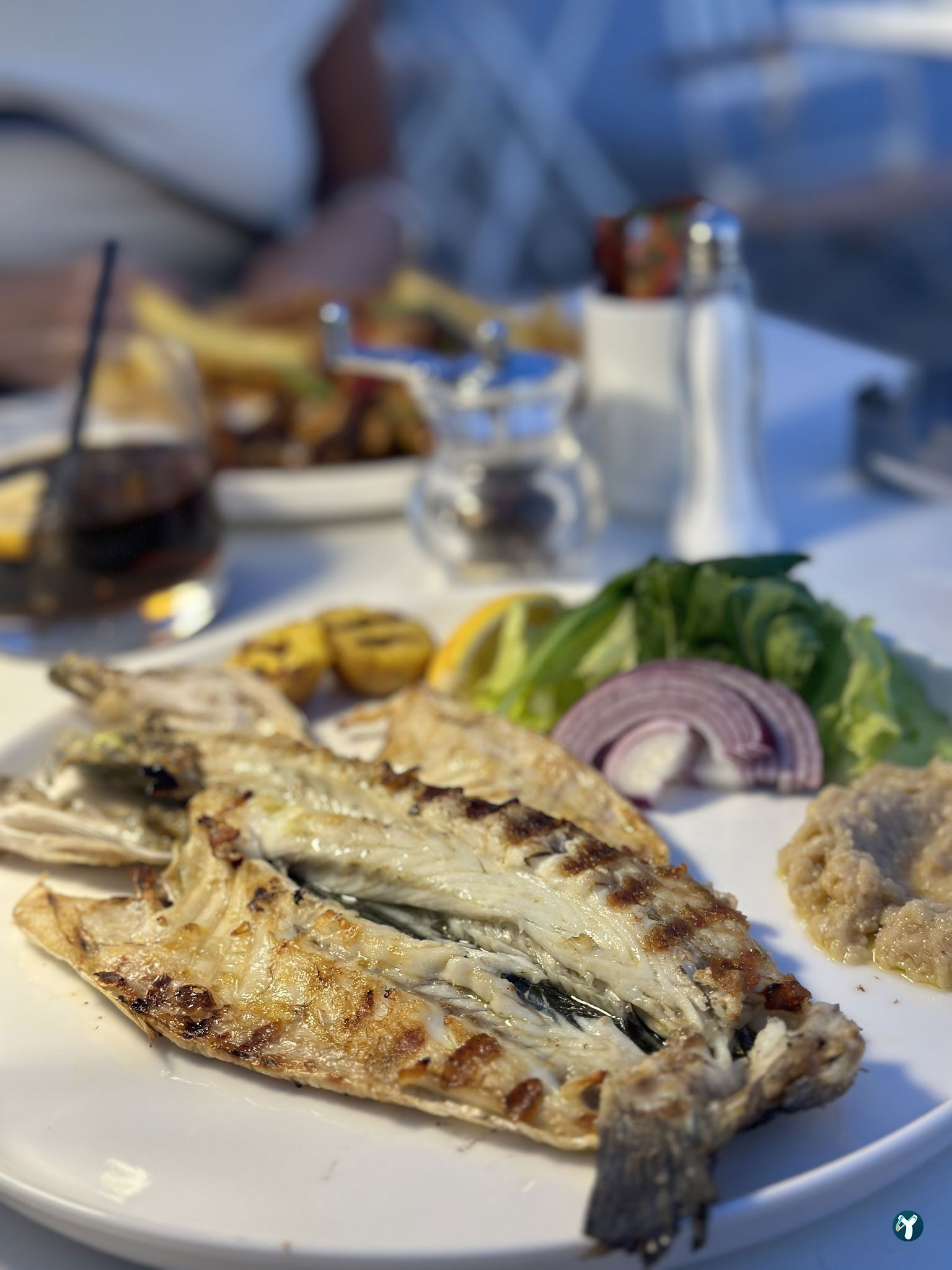 Lizaz Bodrum