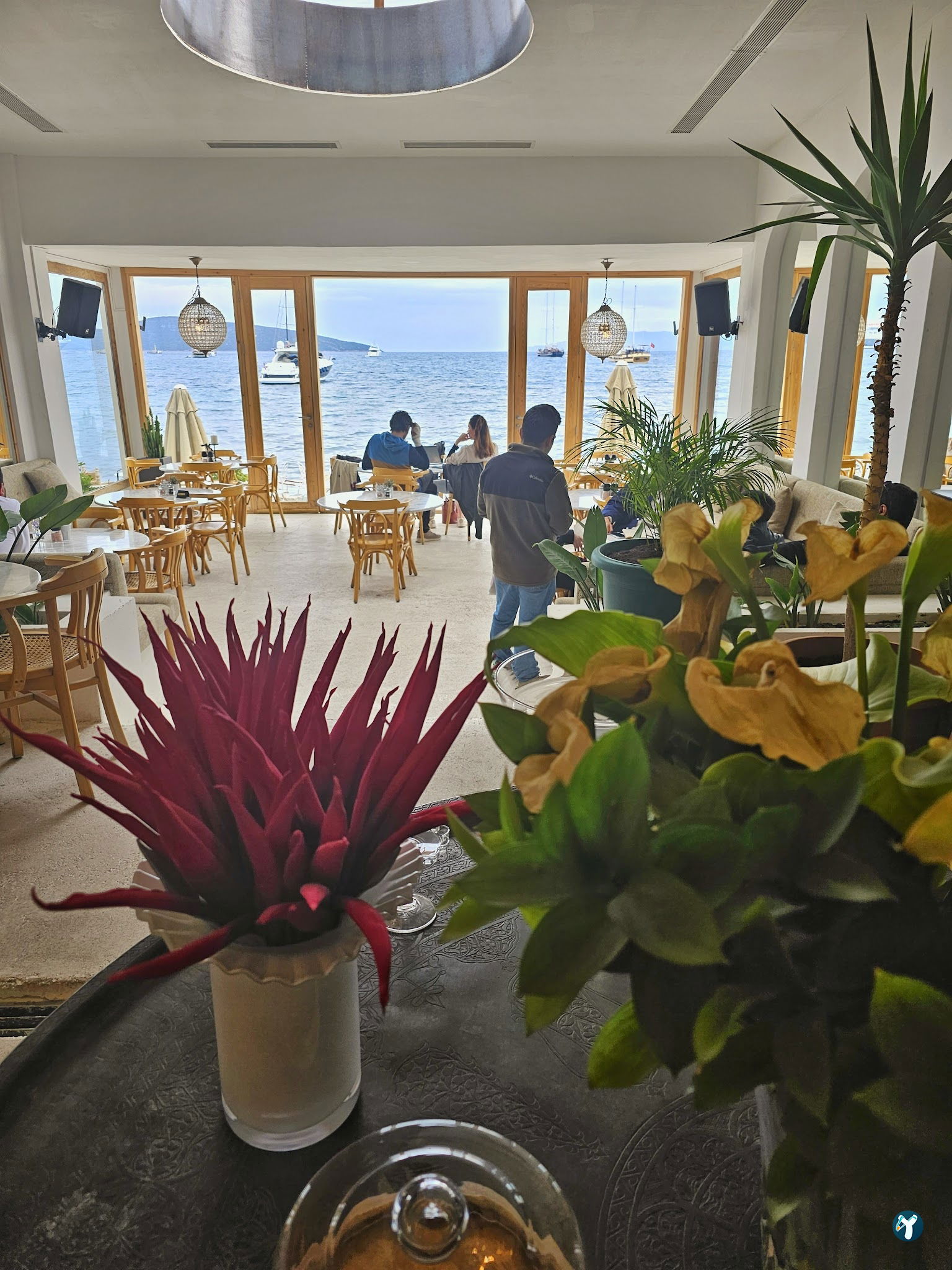 Lizaz Bodrum