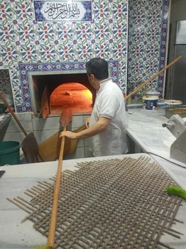 Sarmaşık resimleri