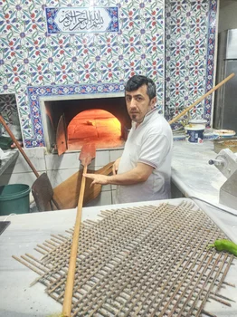 Sarmaşık resimleri