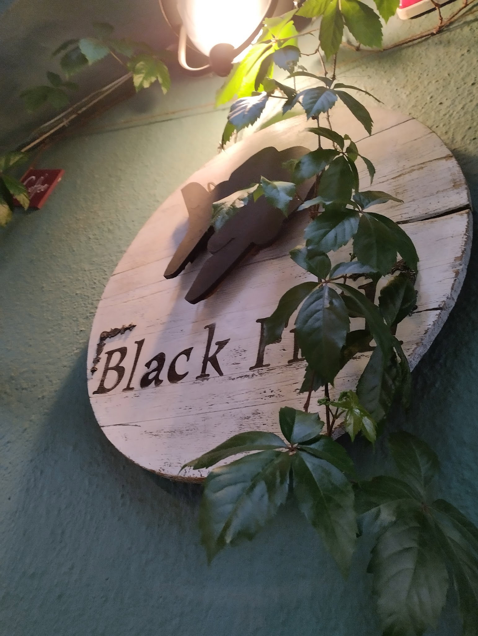 Black Fish Cafe