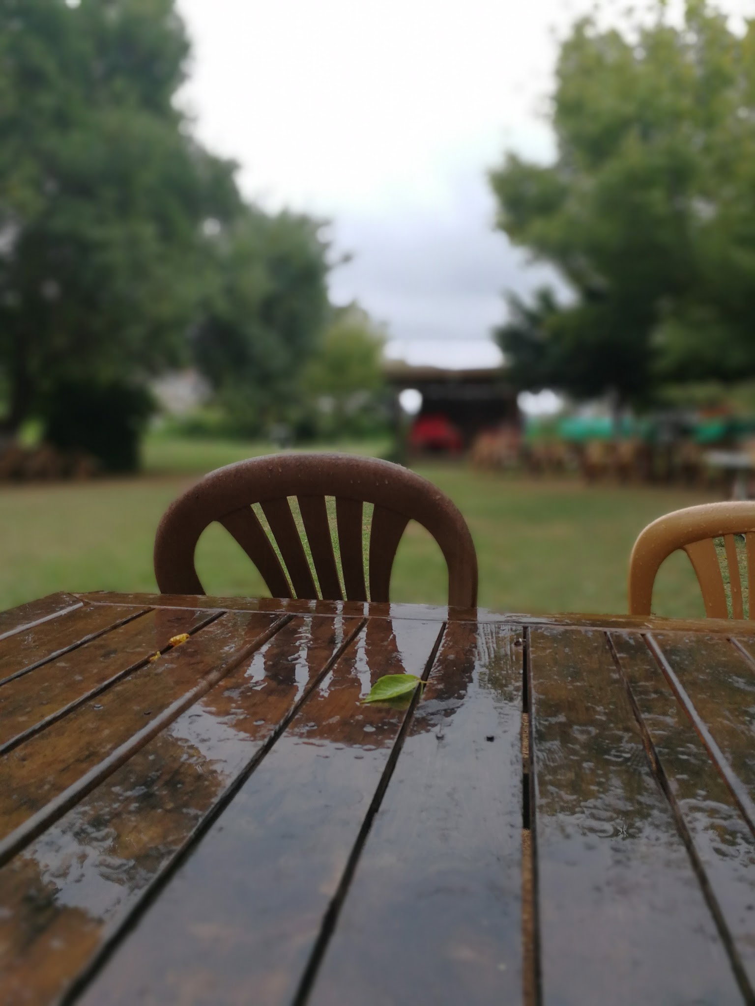 Yeşil Çiftlik Restoran