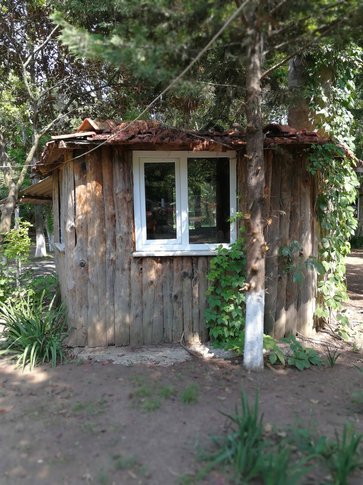 Yeşil Çiftlik Restoran