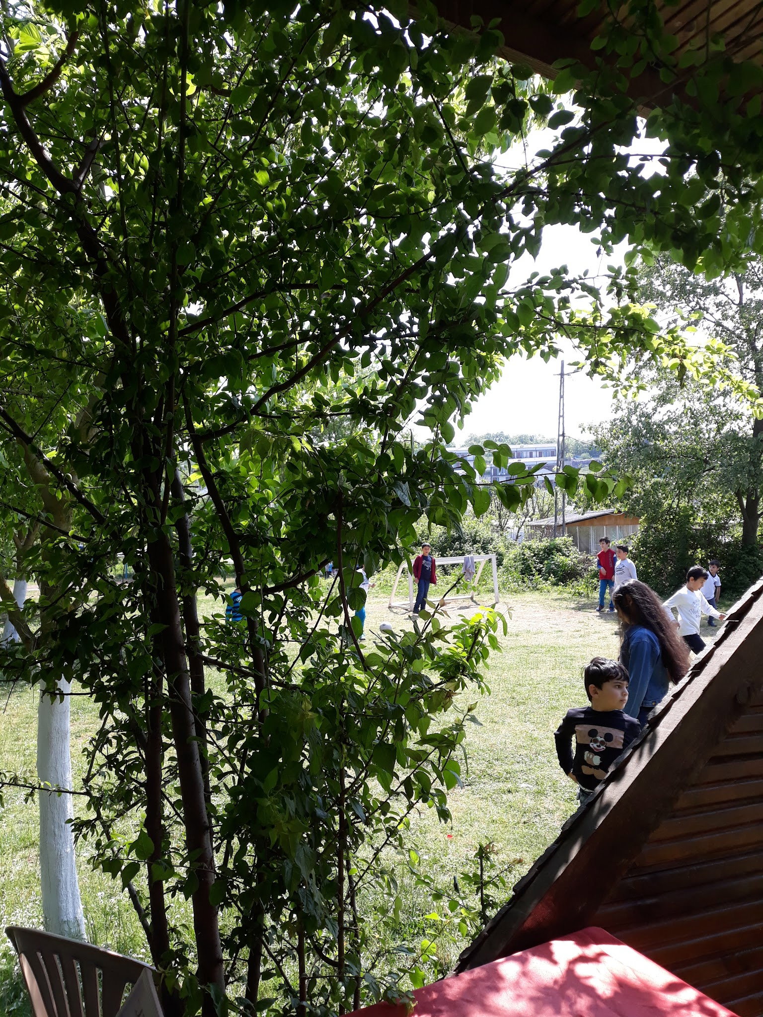 Yeşil Çiftlik Restoran