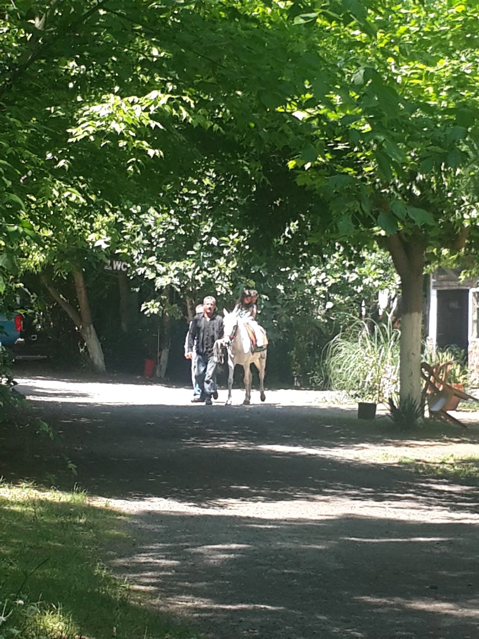 Yeşil Çiftlik Restoran