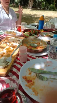 Yeşil Çiftlik Restoran resimleri