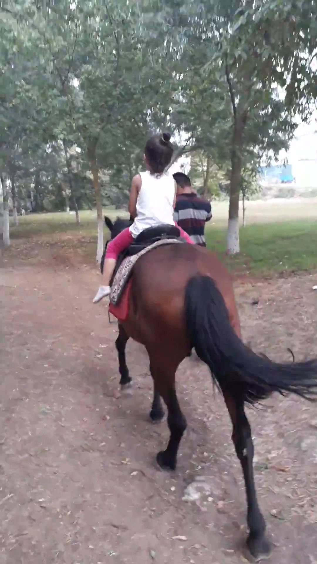 Yeşil Çiftlik Restoran