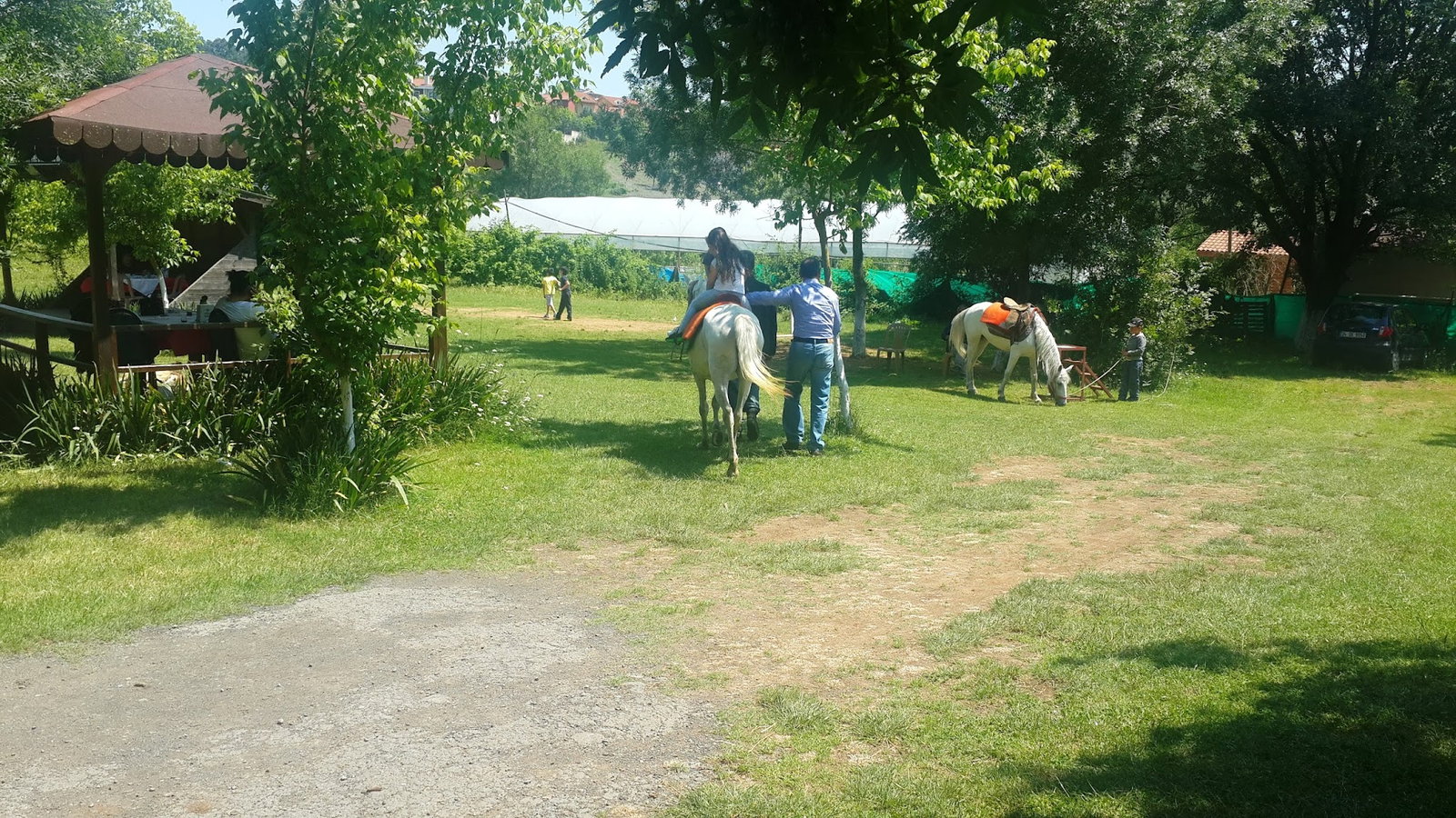 Yeşil Çiftlik Restoran