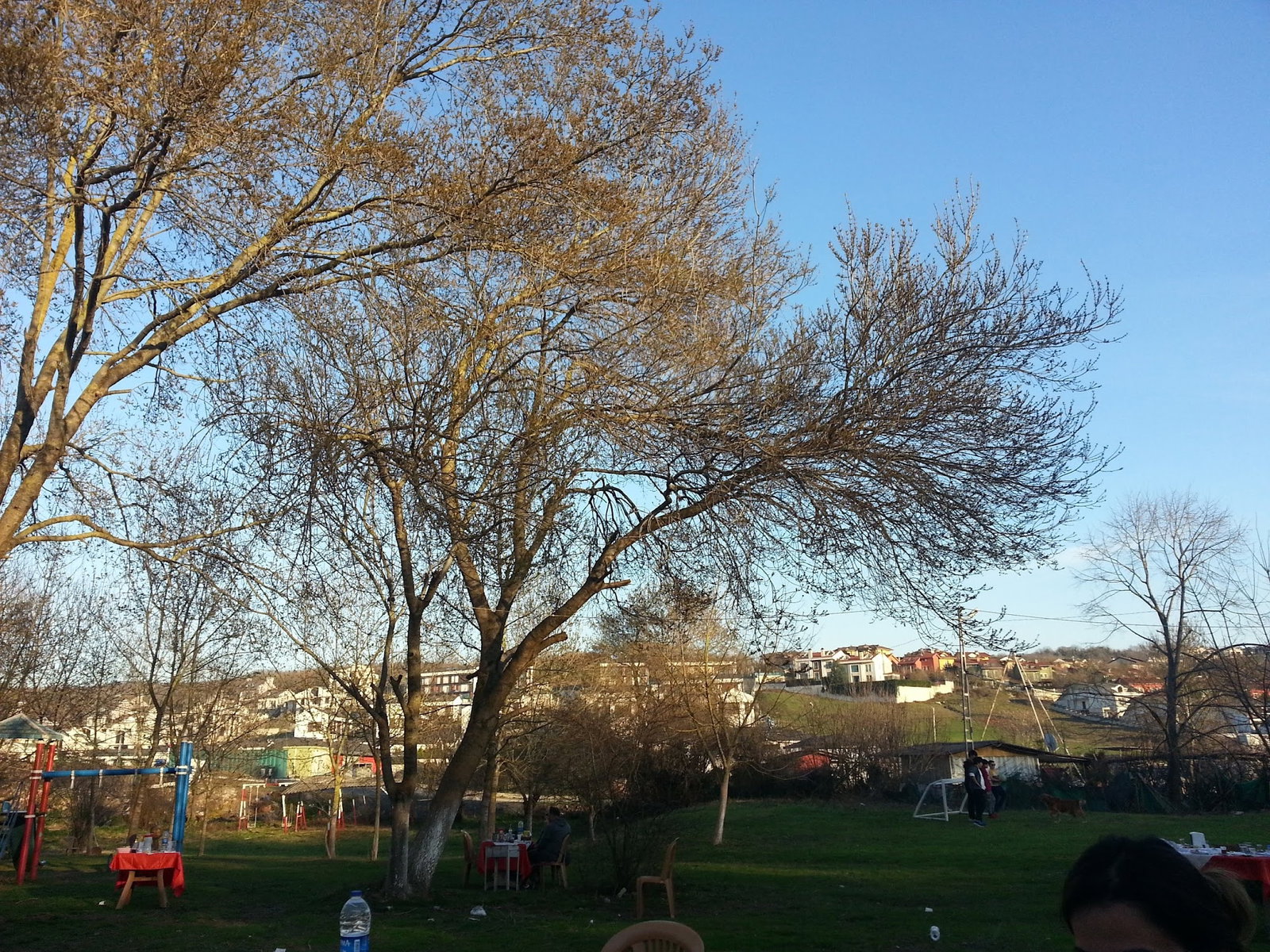 Yeşil Çiftlik Restoran