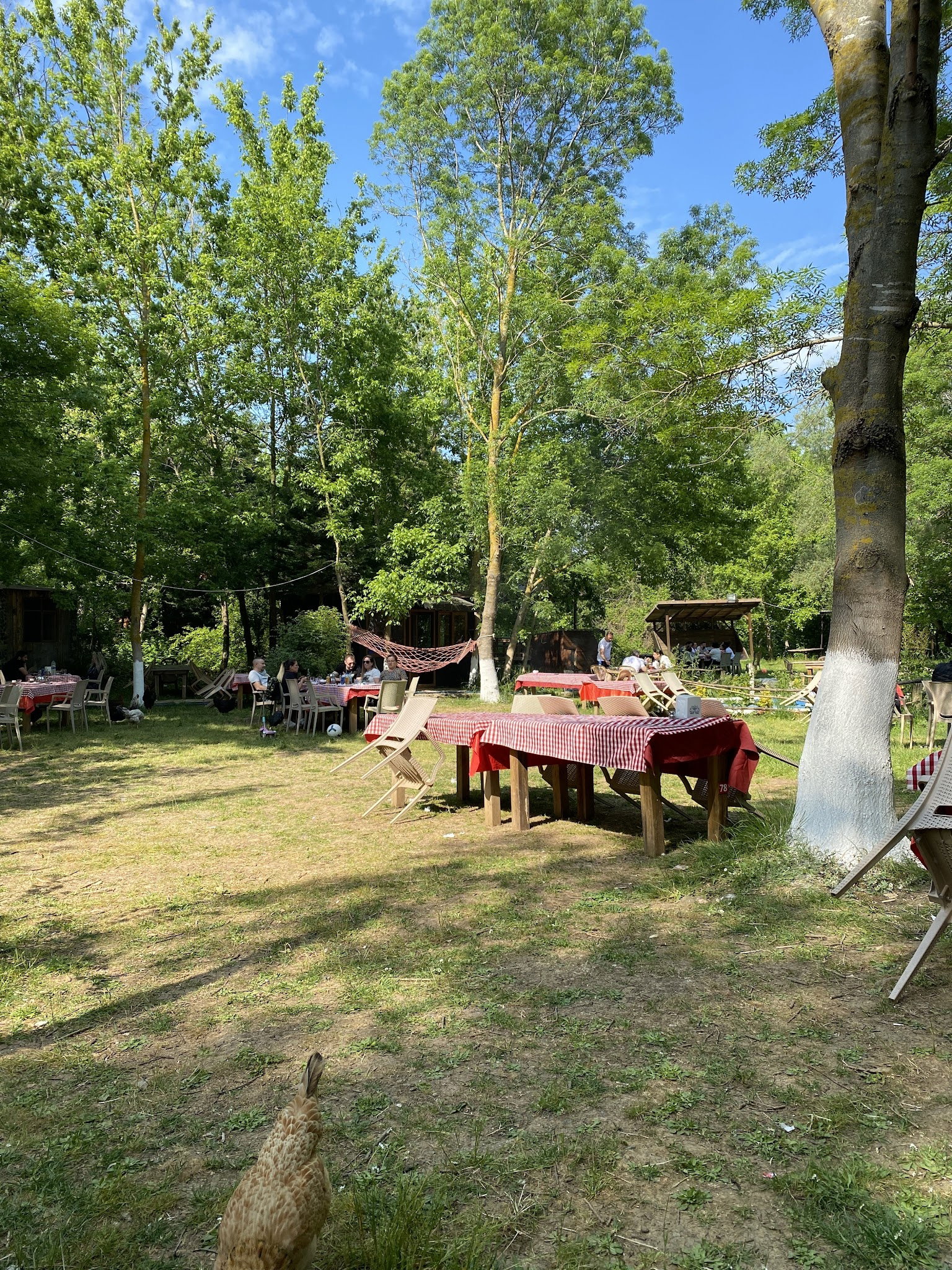 Yeşil Çiftlik Restoran