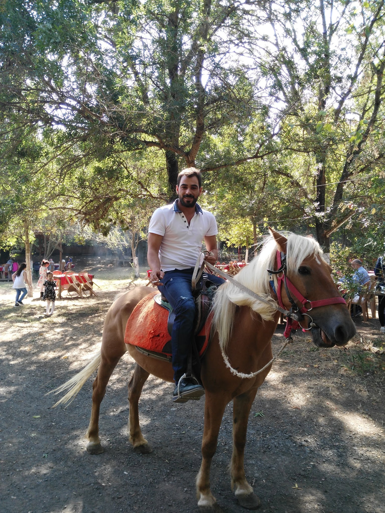 Yeşil Çiftlik Restoran