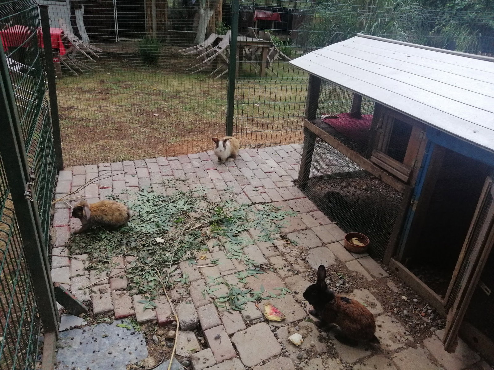 Yeşil Çiftlik Restoran